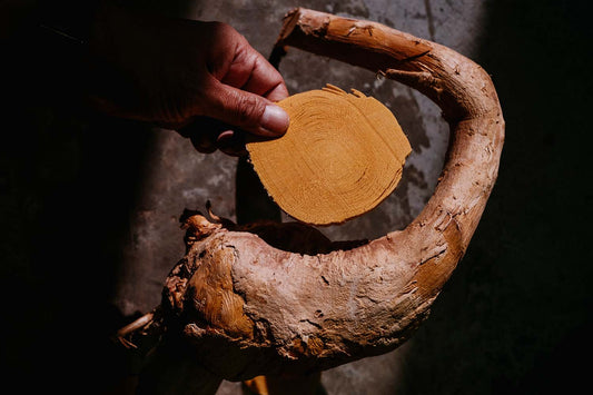 Tongkat Ali Reviewed: British Experiences with Tongkat Ali in the UK