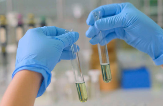 Secrets of Tongkat Ali benefits that will surprise NHS Doctors in the UK