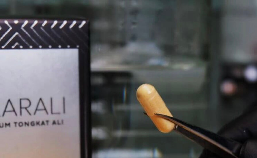 Malaysia’s potent Tongkat Ali is gaining popularity in the UK