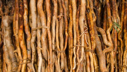 Is 4,000-year-old Malaysian Tongkat Ali the best herbal supplement in the UK?