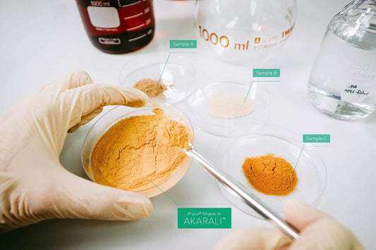 Uk Tongkat Ali Buyers Guide – 6 Key Factors To Look Out For