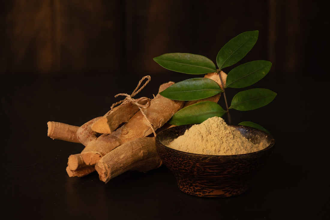 Tongkat Ali is becoming insanely more popular than Ginseng in the UK. Find out more